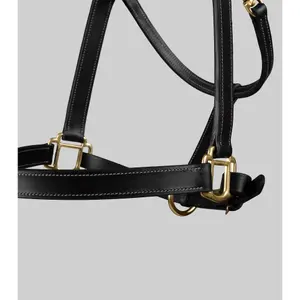Halter for horse Premier Equine image-2