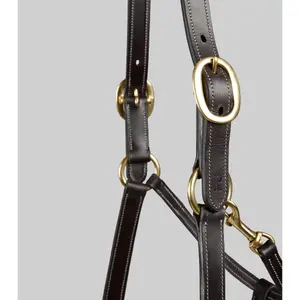Halter for horse Premier Equine image-1