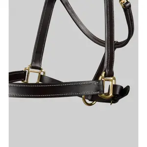 Halter for horse Premier Equine image-2
