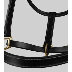 Halter for horse Premier Equine image-3