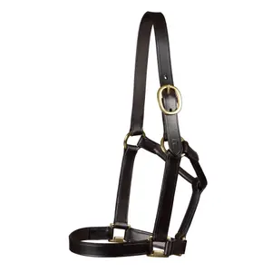 Halter for horse Premier Equine Yearling image-0