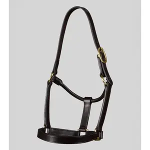 Halter for horse Premier Equine Yearling image-1