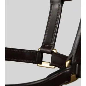 Halter for horse Premier Equine Yearling image-4