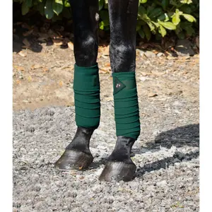 Σέτ από 4 λουριά πόλο για άλογο Premier Equine image-1