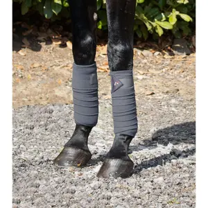 Juego de 4 bandas de polo para caballos Premier Equine image-1