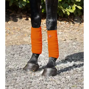 Set van 4 polobanden voor paarden Premier Equine image-1