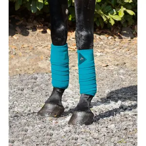 Pack of 4 polo bands for horse Premier Equine image-1