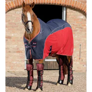 product/p/r/premier-equine_1007lbrg_2.jpg