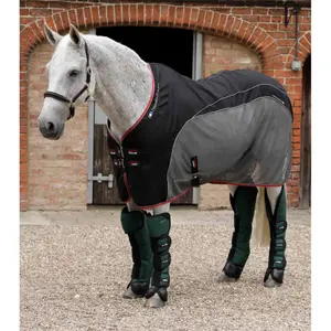 1007lg-transport-av-damasker-for-hastar-premier-equine-ballistic-pro-tech-gron
