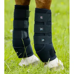 Outdoor laarzen voor paarden Premier Equine image-2