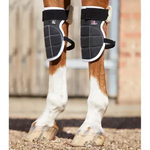 Magnetic knee protectors for horses Premier Equine Magni-Teque