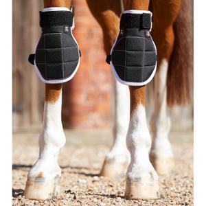 product/p/r/premier-equine_1014_2.jpg