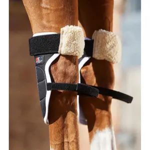 Magnetic knee protectors for horses Premier Equine Magni-Teque image-2