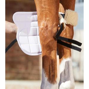 product/p/r/premier-equine_1014_4.jpg