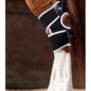 product/p/r/premier-equine_1016_2.jpg