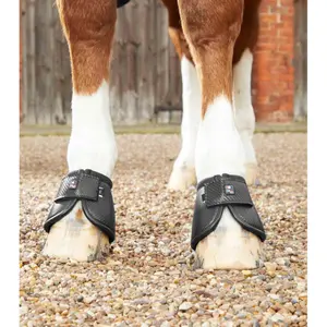 Glove guard for horses Premier Equine Carbon Tech Kevlar No-Turn image-1