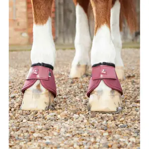Anti-rollover Bell Boots Premier Equine Ballistic image-3