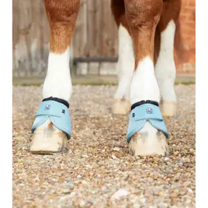 Bell Boots Premier Equine Ballistic image-2