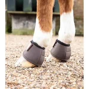Bell Boots Premier Equine Ballistic image-2