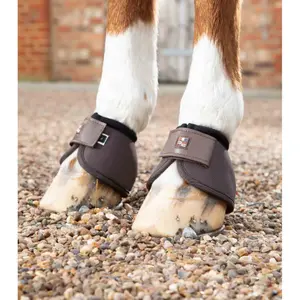 Bell Boots Premier Equine Ballistic image-1
