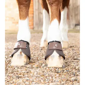 Bell Boots Premier Equine Ballistic image-4