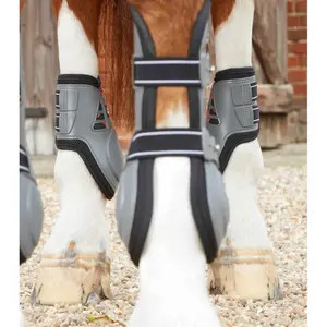 Streichkappen Premier Equine image-1