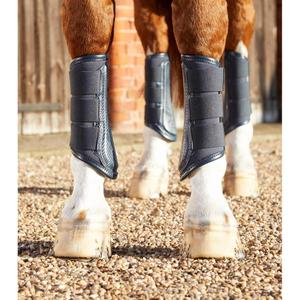 product/p/r/premier-equine_1026xln_2.jpg