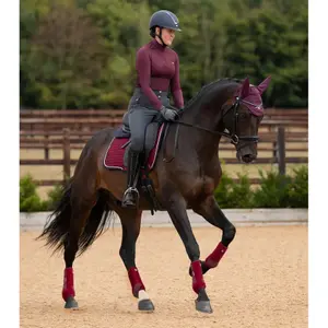 1029xxsbrg-gamaschen-premier-equine-air-tech-sports-medecine-burgundrot