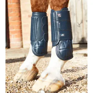 Πρόσθιες επενδύσεις για άλογα Premier Equine Carbon Tech Air Flex image-0