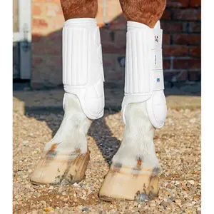 Πρόσθιες επενδύσεις για άλογα Premier Equine Carbon Tech Air Flex image-0