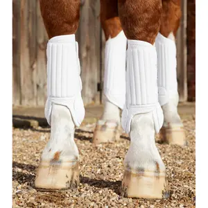 Πρόσθιες επενδύσεις για άλογα Premier Equine Carbon Tech Air Flex image-1