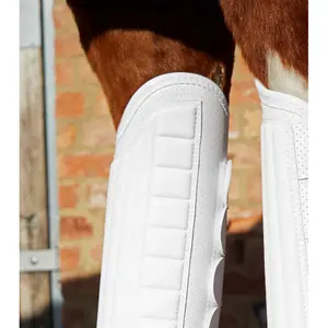 Botas de patas traseiras para cavalos Premier Equine Carbon Tech Air Flex image-3