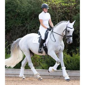 Horse gaiters with wool lining Premier Equine Air-Tech Techno image-1