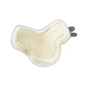 Streichkappen Premier Equine image-1