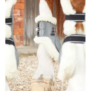 Streichkappen Premier Equine image-2