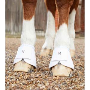 1042sw-protege-glome-pour-cheval-premier-equine-carbon-wrap-over-reach-white