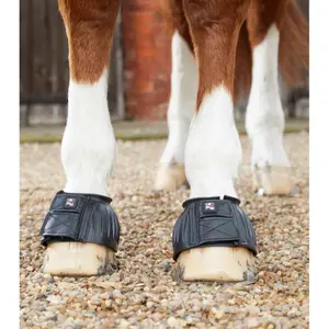 Protège-glome pour cheval Premier Equine image-2