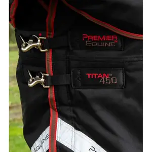 Outdoor-Decke mit Halsteil Premier Equine Titan 450 g image-2