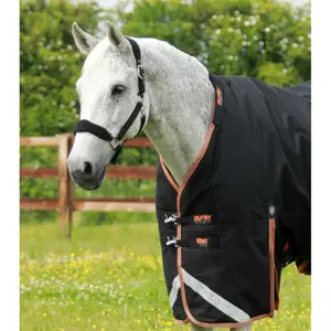 Coperta da esterno per cavalli con copricollo Premier Equine Titan 300 g image-1