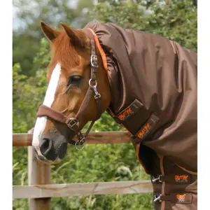 Coperta da esterno per cavalli con copricollo Premier Equine Titan 300 g image-2