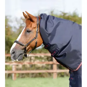 Outdoor horse blanket with neck cover Premier Equine Titan 100 g image-1