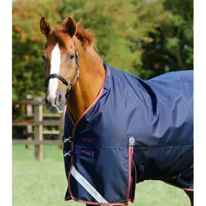 Outdoor horse blanket with neck cover Premier Equine Titan 100 g image-2