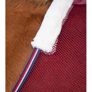 Chemise pour cheval refroidissante Premier Equine Arisca Scrim image-1