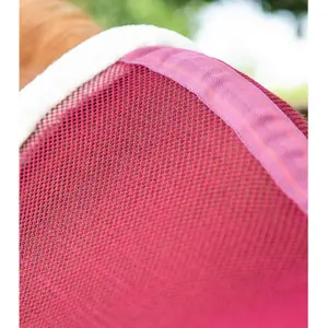 Chemise pour cheval refroidissante Premier Equine Arisca Scrim image-3