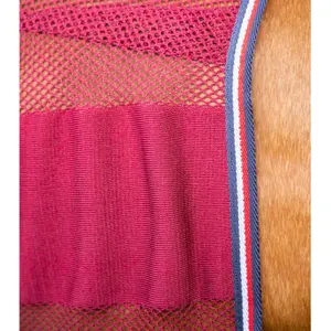 Chemise pour cheval refroidissante Premier Equine Arisca Scrim image-4