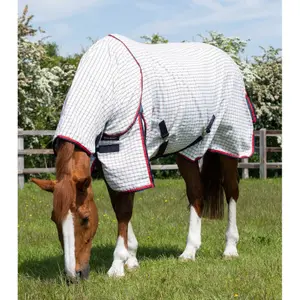 Stable blanket for horse in cotton with neck cover Premier Equine image-1