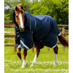 Outdoor horse blanket with neck cover Premier Equine Titan 40 g image-0