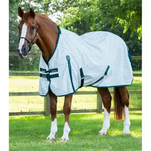 Stable blanket for horse in cotton Premier Equine 310 g image-0