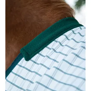 Stable blanket for horse in cotton Premier Equine 310 g image-3