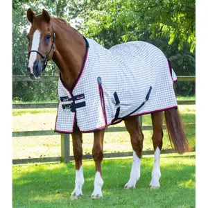 Stable blanket for horse in cotton Premier Equine 310 g image-0